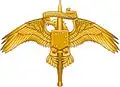 Embleem USMC SOC