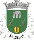 Salselas