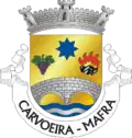Vlag van Carvoeira
