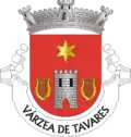 Vlag van Várzea de Tavares