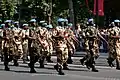 MINUSMA-detachement tijdens een parade op 14 juli 2013 in Parijs