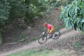 Hermida tijdens de spelen 2012