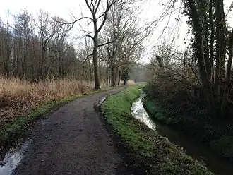 De Maalbeek in het Beverbos