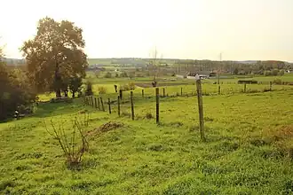 'Wereldboom' Horebeke