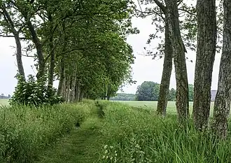 Lijkenweg tussen Groot en Klein Maarslag