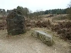 Menhir op de Mechelse Heide
