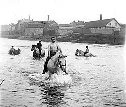 Wassen van (werk)paarden in de Maas, 1905