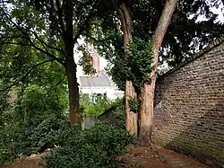 Schaduwrijk tuindeel