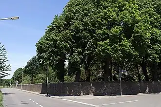 Tuinmuur, hoek Daalstraat-Kasteelstraat