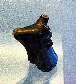 La Tène dierenkopje als schenktuit