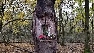 Mariabeeldje in boom