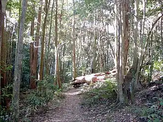 Nationaal park Macquarie Pass