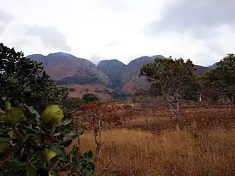 Mafinga Hills gezien vanuit Chisenga