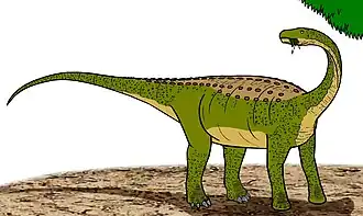 Magyarosaurus