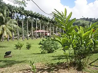 Habitation Saint-Étienne