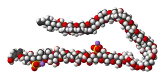 Molecuulmodel van maitotoxine