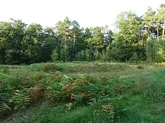 locatie van de wachttoren in 2012