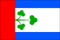 Vlag