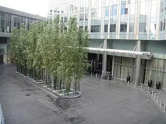 De ingang van de hotellobby.