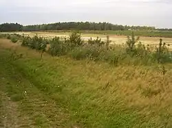 Mandercirkels, omgeving