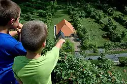 Houtwallen in de Mandermaten (Overijssel)