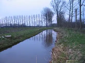 De Mangelbeek in Lummen (2008)