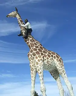 Mann auf dem Hals einer Giraffe (2001) in Hamburg