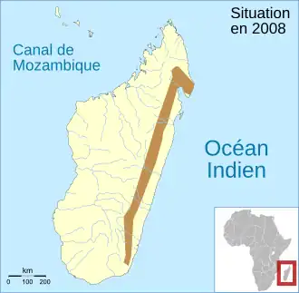 Blommersia grandisonae