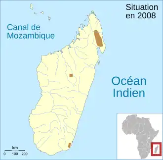 Guibemantis punctatus