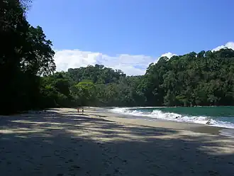 Manuel Antonio