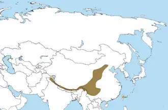 Zuidelijke notenkraker