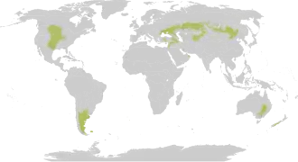 Gematigd grasland, savanne of struweel