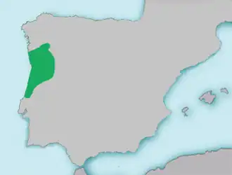 Achondrostoma oligolepis