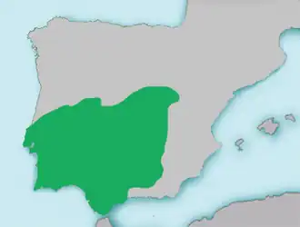 Tropidophoxinellus alburnoides