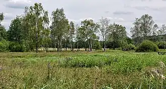 Natuurreservaat 'Marais de Grendel'