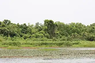 Mare aux Hippopotames