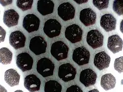 Strijkvlak van luciferdoos uitvergroot