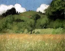 Heuvel bij Nagybánya (z.j.)