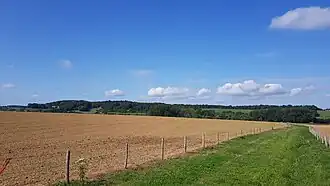 het Schweibergerbos gezien van bij Mechelen