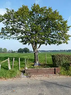 Wegkruis in de buurtschap