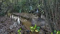 Kikbeek in Mechelen-aan-de-Maas