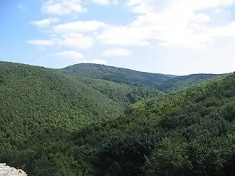 De oostelijke Mecsek bij de Máré-burcht