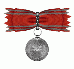 Medaille in zilver aan strik