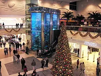 MEGA Kaunas (12-02-2006)