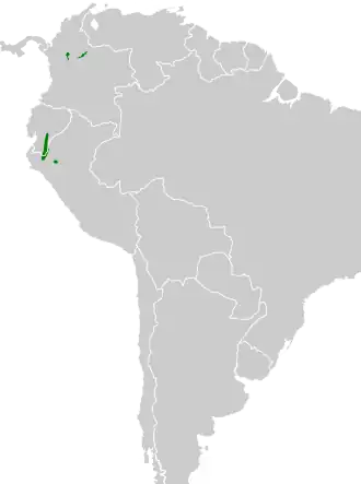 Kaneelkleurige schreeuwuil