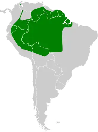 Donkerbruine schreeuwuil