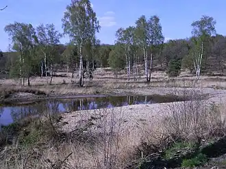 Nationaal Park De Meinweg
