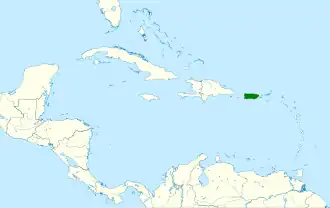 Puerto-Ricospecht