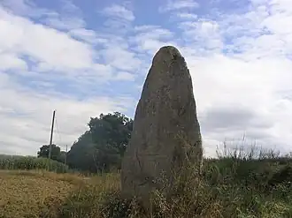 Menhir bij Ménéac