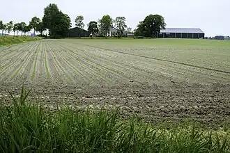 Boerderij Menneweer vanaf de Menneweersterweg